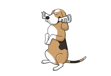 Mascota 5